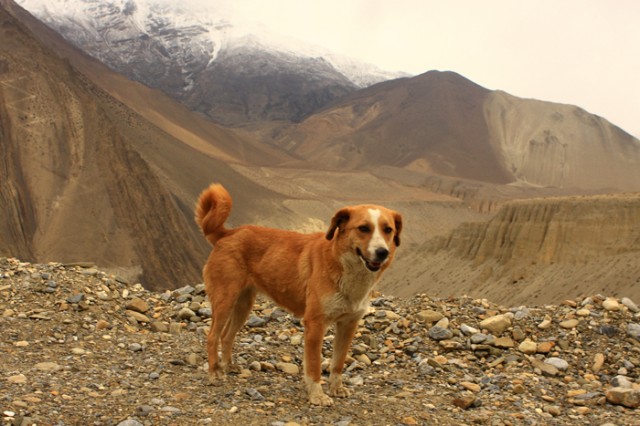 Фото 2 Фото 2