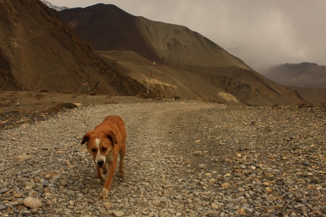 Фото 4 Фото 4