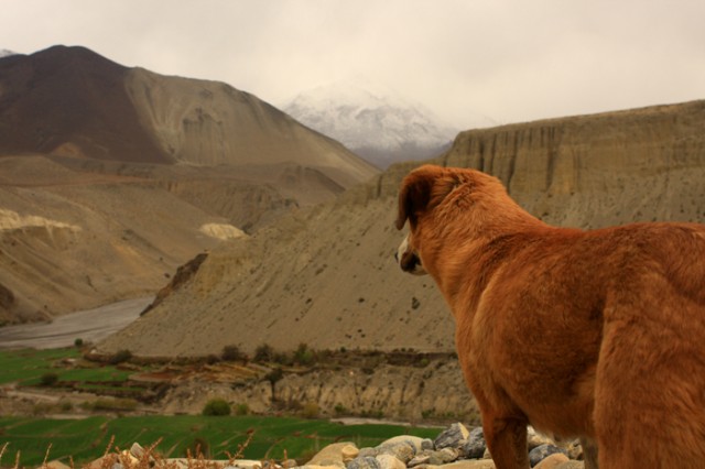 Фото 5 Фото 5