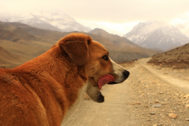 Фото 7 Фото 7