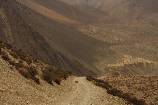 Фото 9 Фото 9