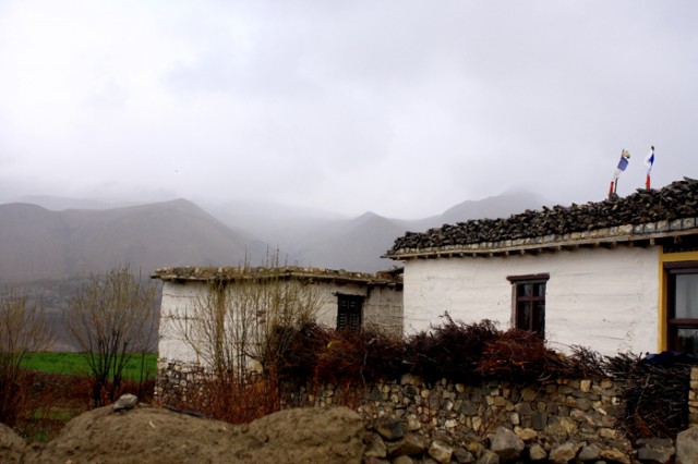 Фото 12 Фото 12