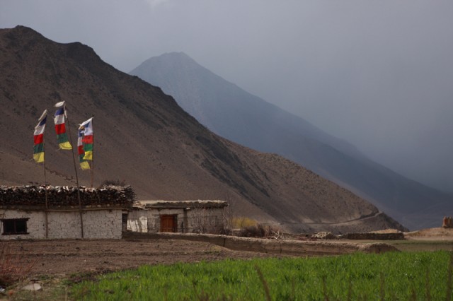 Фото 6 Фото 6