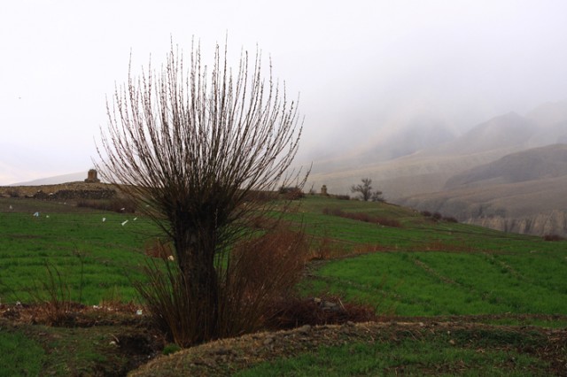 Фото 7 Фото 7