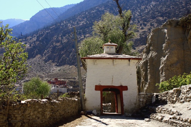 Фото 1 Фото 1