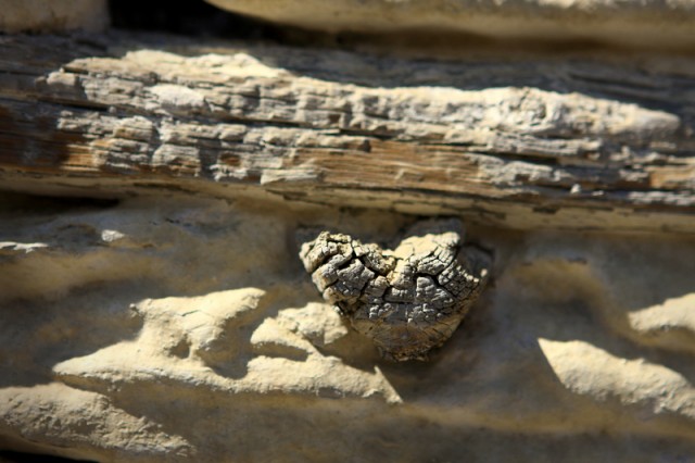 Фото 5 Фото 5