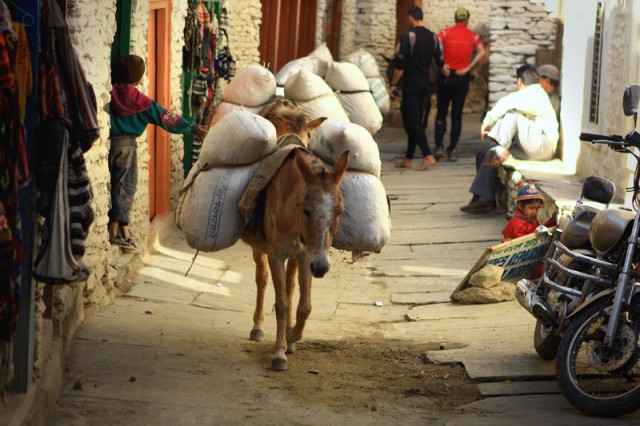 Фото 7 Фото 7
