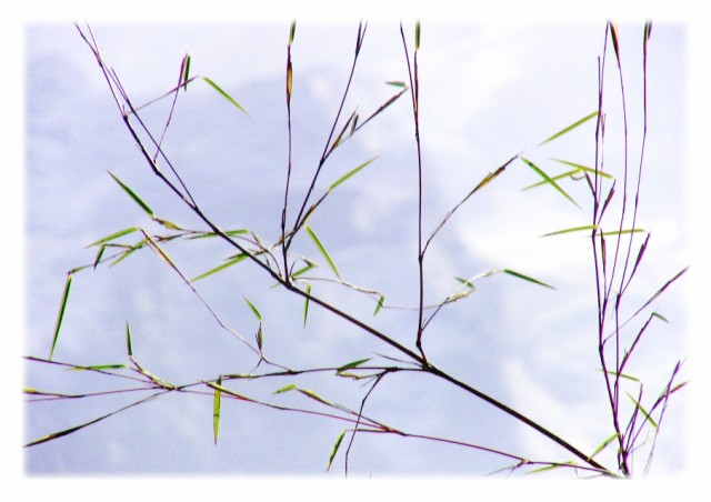 Фото 2 Фото 2