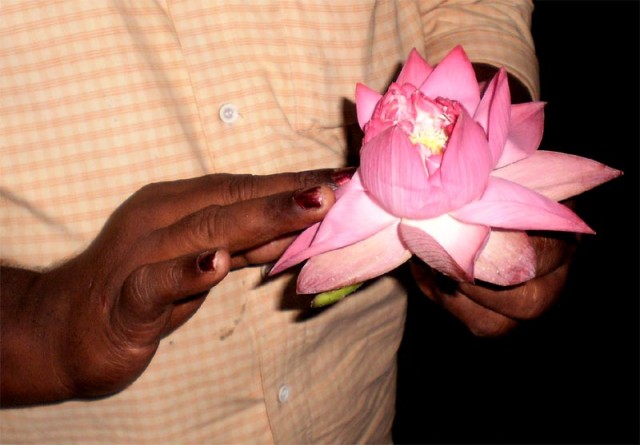   ..., ,   -      ...  ......