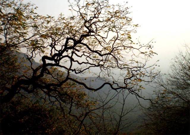   ...,  ,   ...,          ..