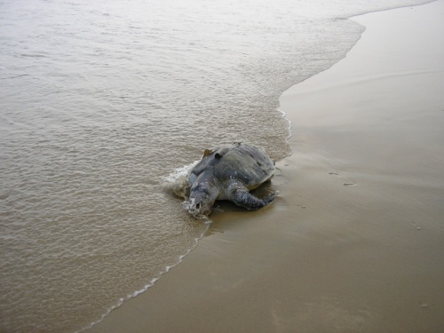 грустный момент... грустный момент...