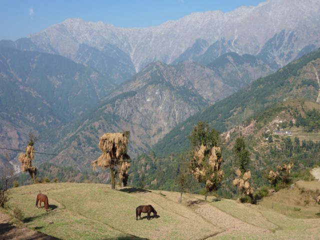    ,      -             :)