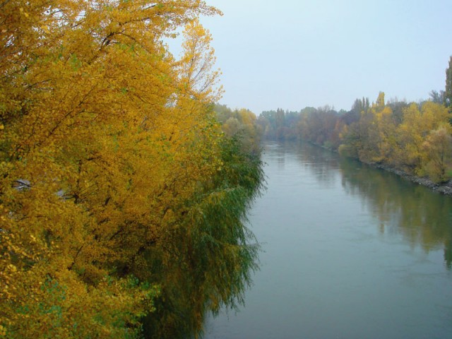 приток Дуная