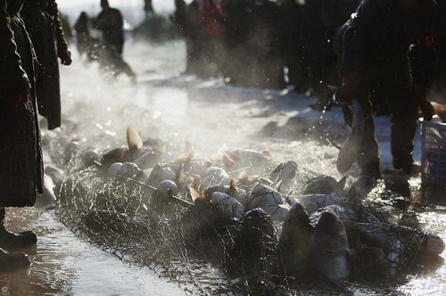 Традиционный рыболовный фестиваль прошел в китайском Чаньчуне