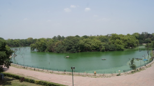 Фото 13 Фото 13