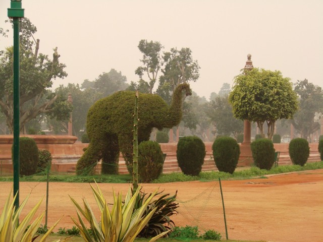 просовываем фотик через решетку... просовываем фотик через решетку...