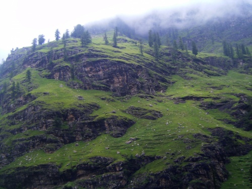 Фото 1 Фото 1