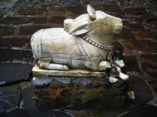 Фото 4 Фото 4