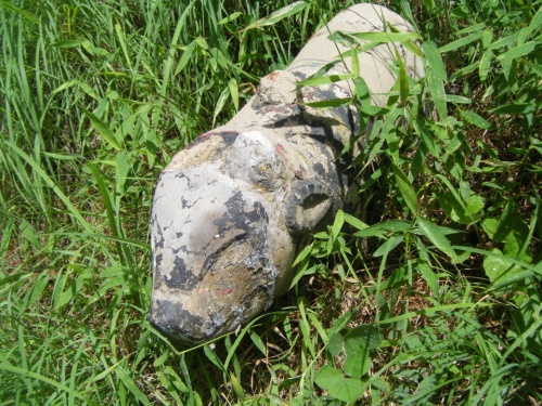 Фото 9 Фото 9