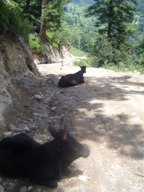 Фото 1 Фото 1