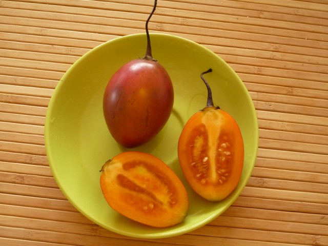 плод помидорного дерева
