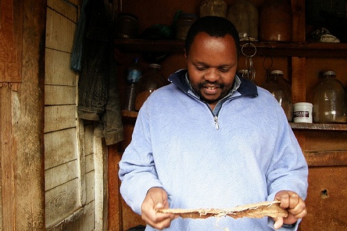 Торговец волшебной корой Торговец волшебной корой