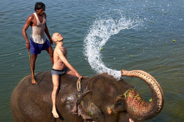 Купание слонов в Читване 3