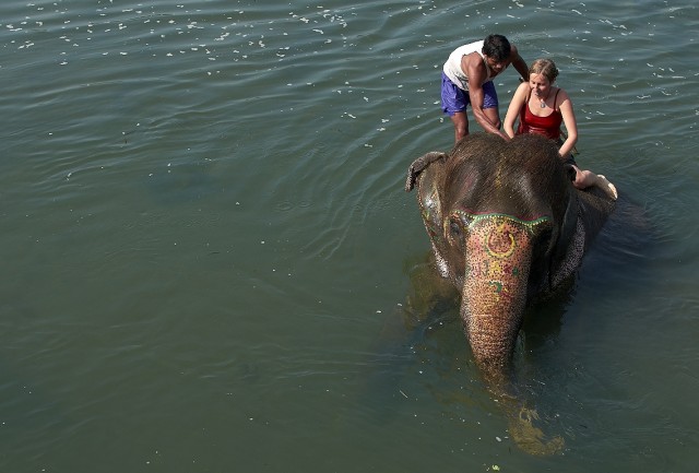 Купание слонов в Читване 4