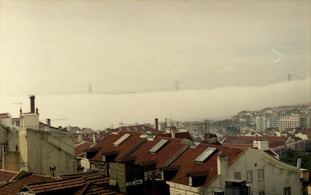 туман три