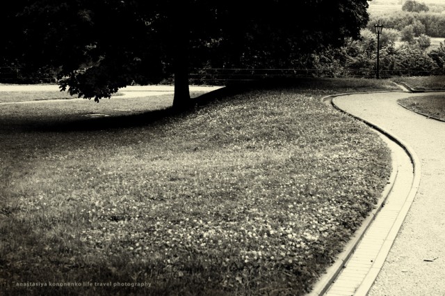 графики 1 графики 1