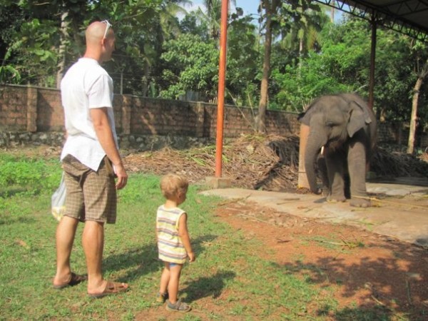 Слоновник, Керала
