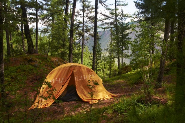 Дирижабль в лесах Алтая Дирижабль в лесах Алтая