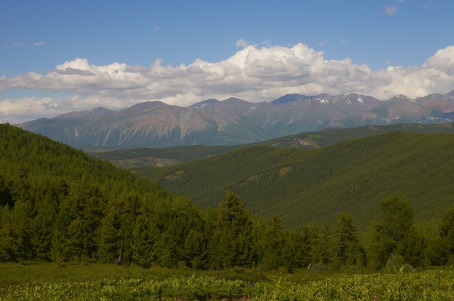 Курайский хребет Курайский хребет