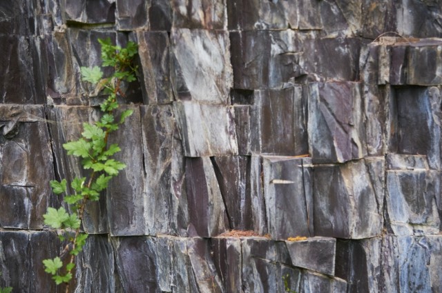 Кости гор Кости гор