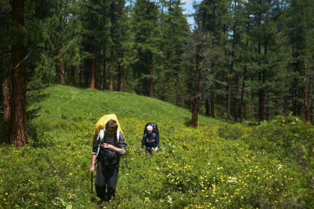 Дорога третьего дня Дорога третьего дня