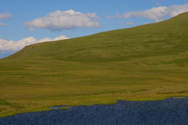 Сине-зеленое 3 Сине-зеленое 3