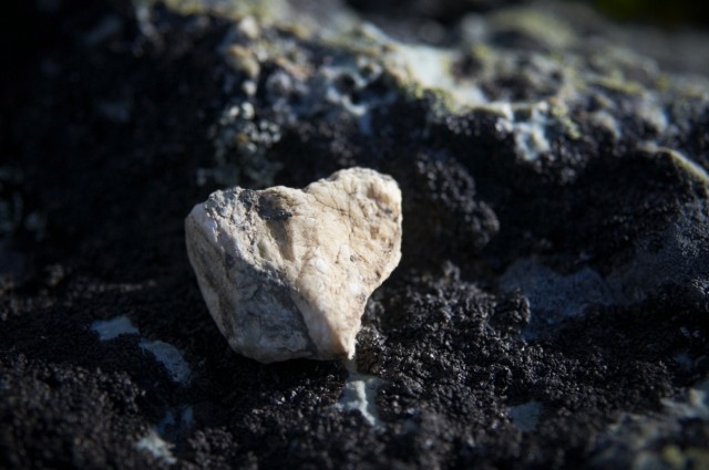 Каменное сердце Каменное сердце