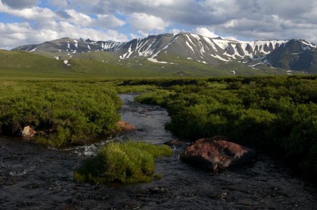 Речка на плато Речка на плато