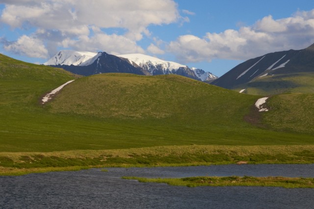 Сине-зеленое 1 Сине-зеленое 1