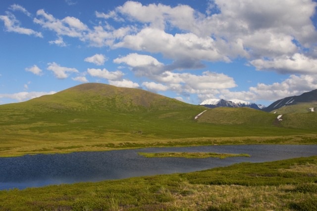 Сине-зеленое 2 Сине-зеленое 2