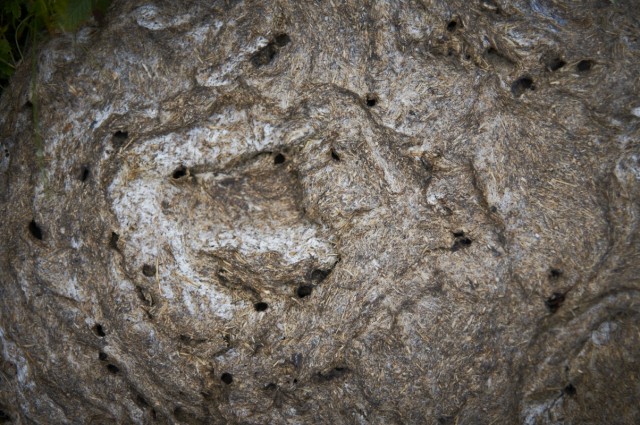 Говно Говно