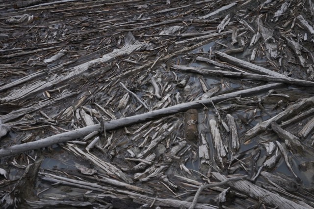 Мертвое Мертвое