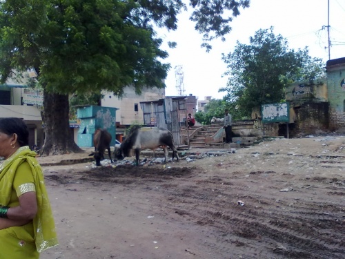 автобусный терминал автобусный терминал