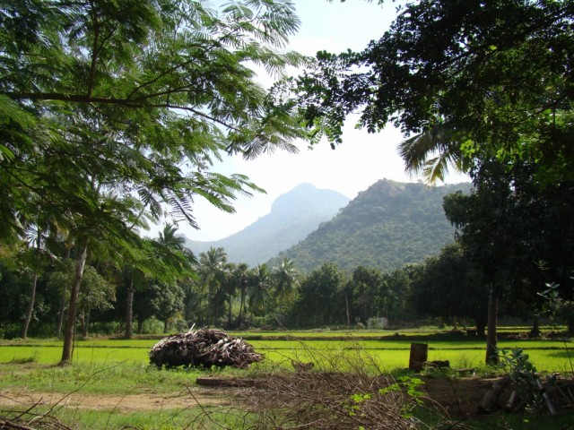 какие пейзажи!!!-1 какие пейзажи!!!-1