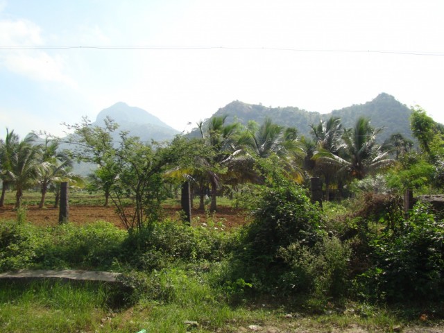 какие пейзажи!!!-4 какие пейзажи!!!-4