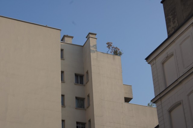 Фото 2 Фото 2