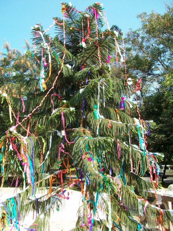 Der Weihnachtenbaum -