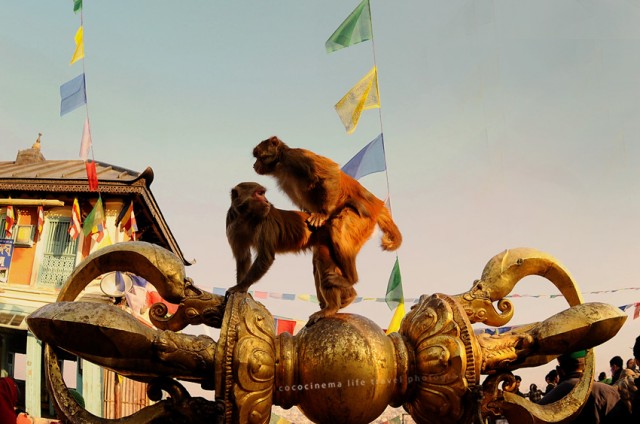 Svayambunath - Monkey Temple