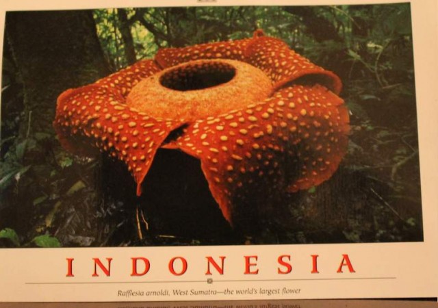 Indonesia
