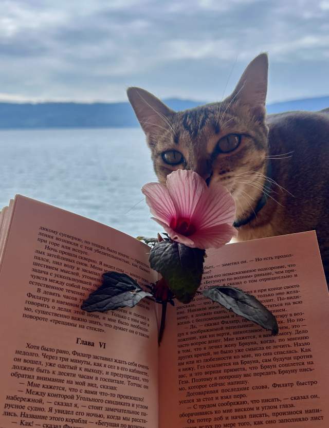 Фото 2 Фото 2